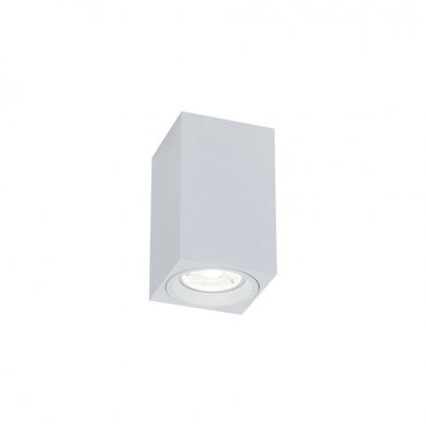 Накладной светильник Maytoni Alfa C011CL-01W