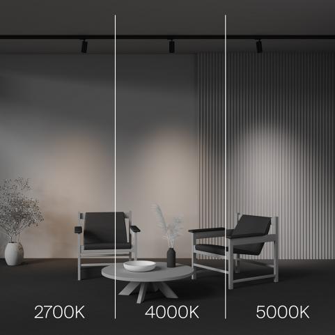 Трековый светильник Maytoni Technical Trinity  2700-5000K Focus Led TR197-3-12WCCT-M-B