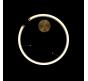 Подвесной светильник Loft IT Ring 10013M